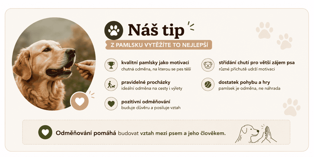 Náš tip Odměňování posiluje vztah